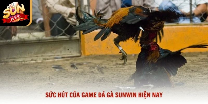 Sức hút của game đá gà Sunwin hiện nay